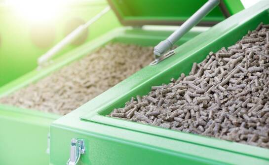 Innowacyjne rozwiązania w produkcji pasz dla kur niosek