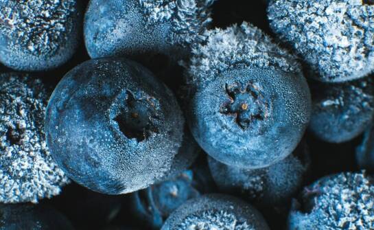 Liofilizacja a tradycyjne metody suszenia – które rozwiązanie jest lepsze?