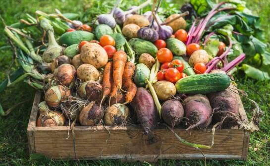 Korzyści z lokalnych owoców i warzyw – dlaczego warto je wybierać?