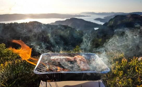 Grill elektryczny do ogrodu jako ekologiczna alternatywa dla tradycyjnych grilli