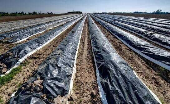 Jakie są korzyści stosowania mat zgrzewanych w rolnictwie?