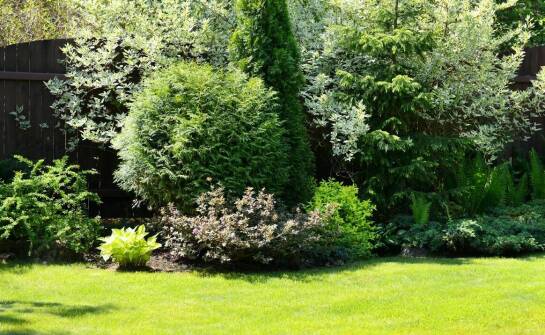 Dlaczego warto wybrać ogrodzenia odporne na promieniowanie UV do swojej posesji?