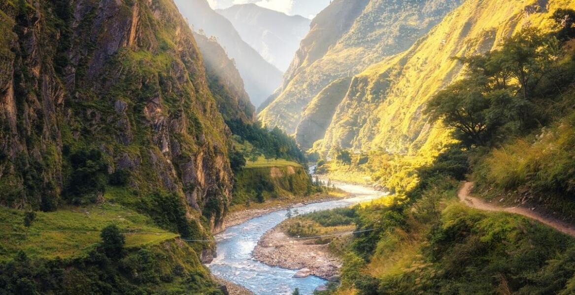 Wykorzystanie druku cyfrowego w tworzeniu fotoobrazów i fototapet