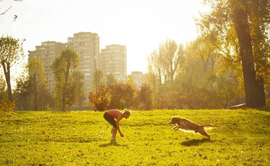 Jak karma Eden wspomaga aktywność fizyczną psów ras małych?