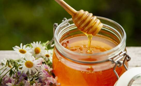 Właściwości miodu wielokwiatowego w diecie dzieci