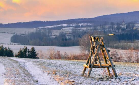 Wszystko o wykopach – rodzaje, zastosowanie i najważniejsze zasady