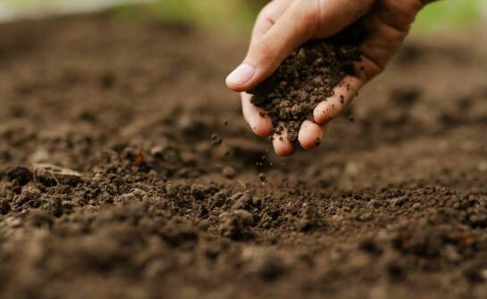 Zastosowania i właściwości ziemi ogrodniczej – kompleksowy przegląd zastosowań
