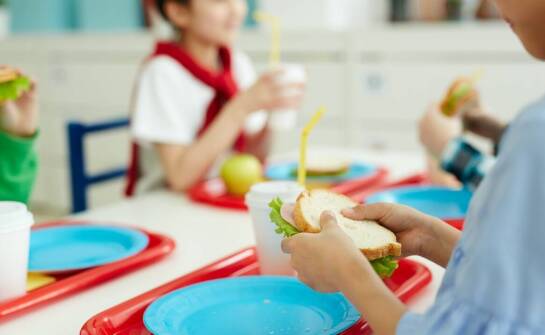 Catering dla przedszkoli – zdrowe posiłki wspierające rozwój najmłodszych