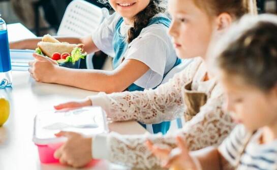Catering w szkołach – znaczenie zdrowego żywienia dla uczniów