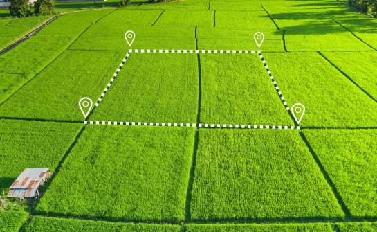 Co powinno zawierać ogłoszenie o sprzedaży działki budowlanej?