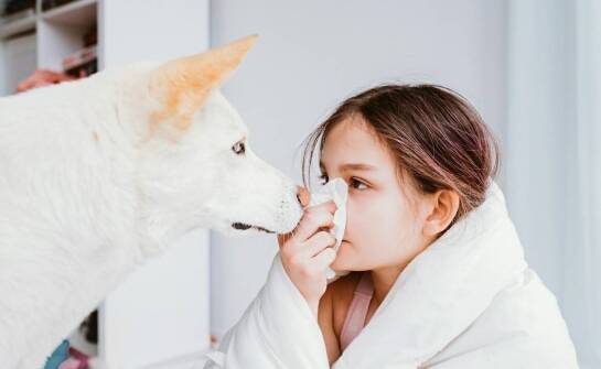 Nowoczesne metody leczenia alergii u zwierząt domowych – przegląd rozwiązań