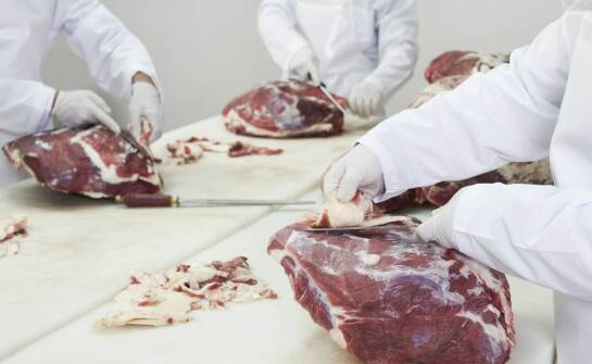 Nowoczesne trendy i technologie w przetwórstwie mięsa – aktualny obraz branży