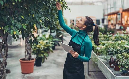 Tradycja i smaki – historia oraz sekrety polskich zakładów wędliniarskich