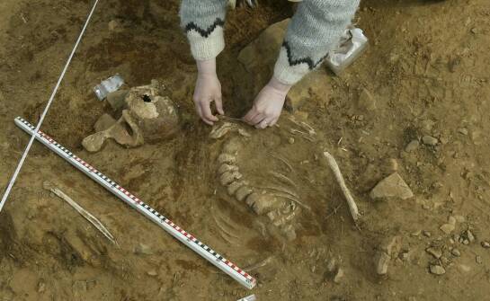 Ekshumacja zwłok – procedura, formalności i najważniejsze informacje