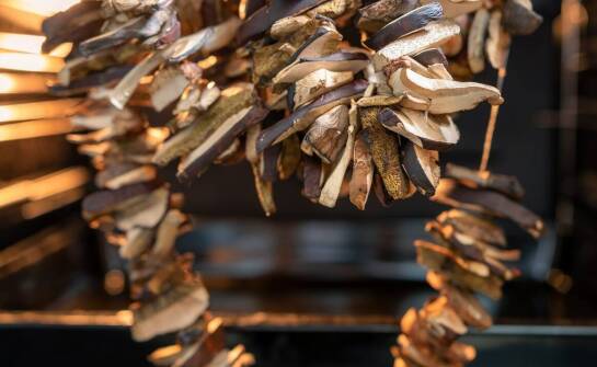 Rola detali w obrazach malowanych na płótnie: jak uzyskać realistyczny efekt?