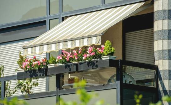 Jakie rośliny dekoracyjne wybrać, aby zwiększyć prywatność na balkonie?