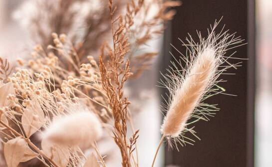 Opaski dla kobiet z naturalnych materiałów – korzyści dla skóry