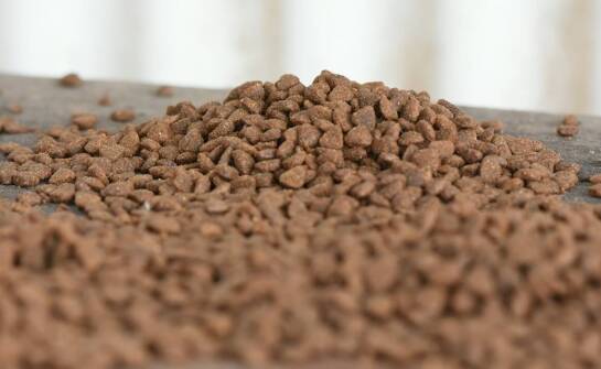 Mokre karmy monobiałkowe – idealne rozwiązanie dla wymagających czworonogów