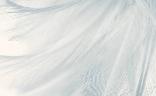 Jakie są najczęstsze pytania klientów dotyczące kosztów pierza?