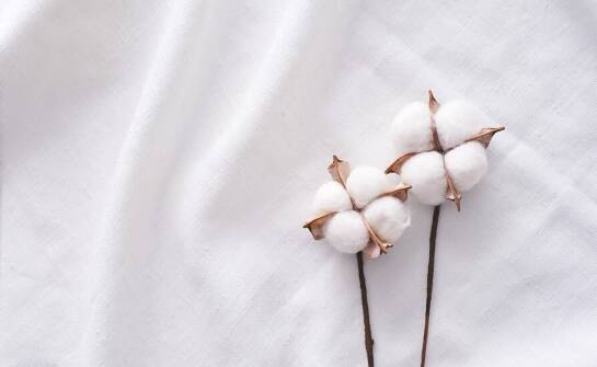 Jakie są innowacyjne zastosowania czyściwa bawełnianego w różnorodnych sektorach?