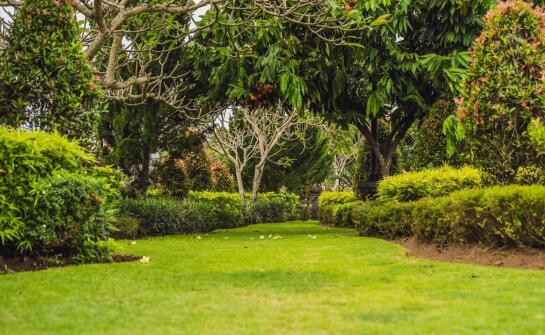 Wpływ oprysku na pędraki w trawie na jakość gleby