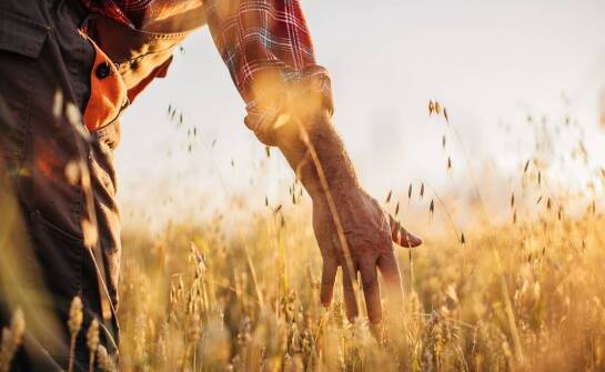 Poradnik: jak przygotować się do sezonu oprysków na gryke?