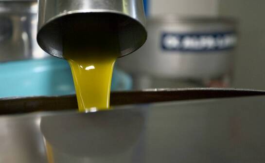 Emulsje gruntujące – zastosowanie, właściwości i wybór odpowiedniego produktu