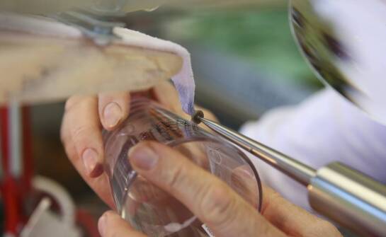 Jaki jest zakres usług szklarskich?