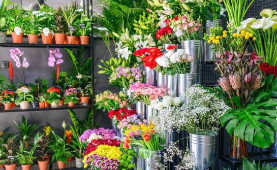 Jak wybrać idealne kwiaty na każdą okazję? Inspiracje i porady florystyczne