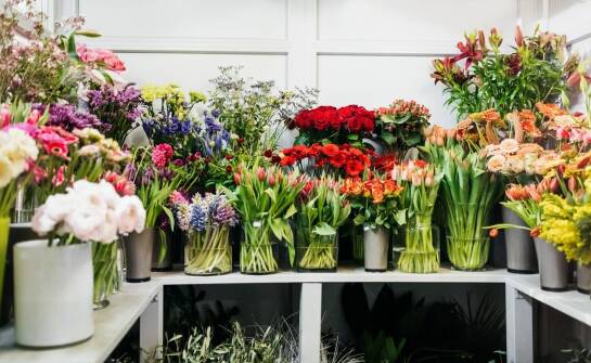 Jak wybrać idealne miejsce na zakup świeżych kwiatów i bukietów?