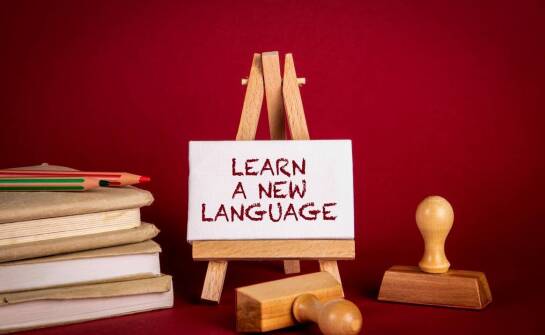 Jak skutecznie wybrać placówkę do nauki języków obcych dla dzieci i dorosłych