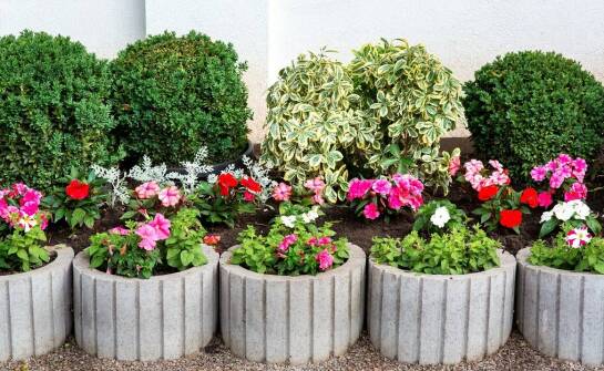 Betonowe donice – trwałość i stylowe rozwiązania do ogrodów i wnętrz
