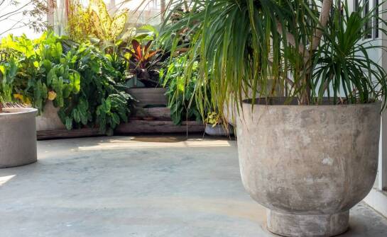 Donice betonowe – zastosowanie, zalety i inspiracje do aranżacji wnętrz