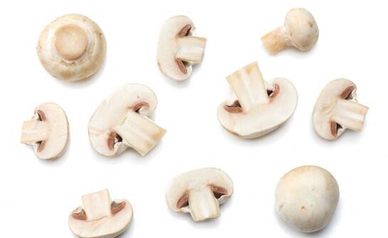 Rodzaje śrub i ich zastosowanie w codziennych pracach montażowych