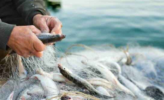 Najważniejsze rodzaje złączy – zastosowanie i wybór odpowiednich rozwiązań