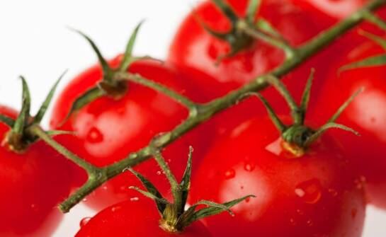 Metoda Tomatisa – na czym polega i komu może przynieść korzyści?