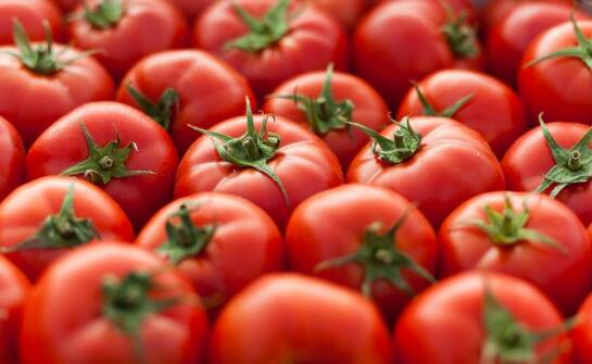 Terapia Tomatisa – jak wspiera rozwój i poprawia funkcjonowanie dzieci