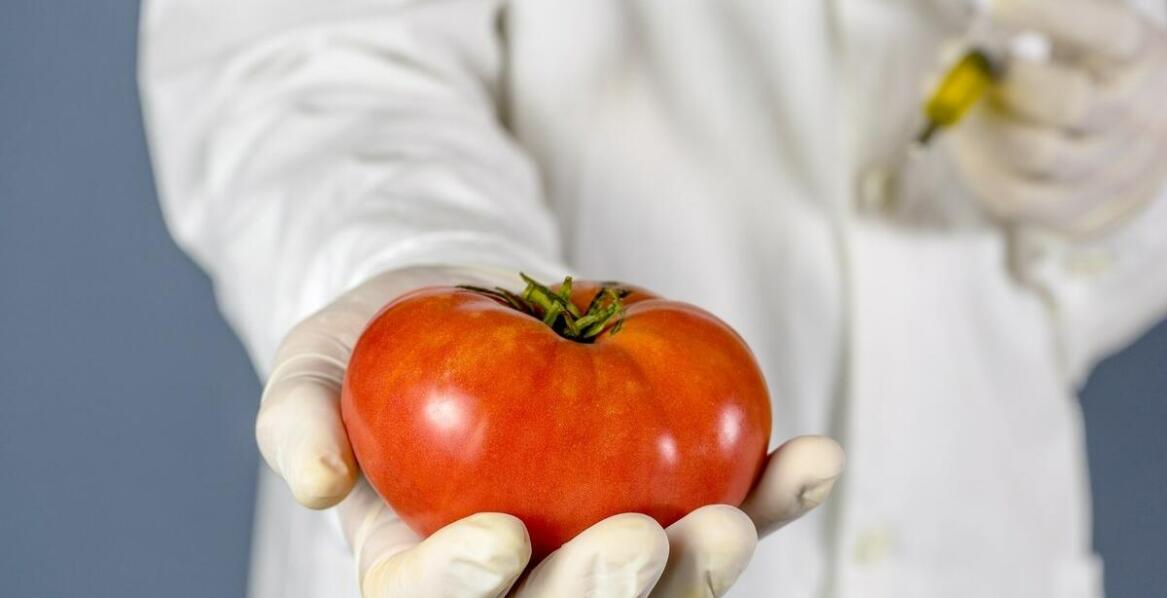 Metoda Tomatisa – jak działa trening słuchowy i komu może pomóc?