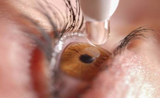 Okulistyka weterynaryjna - na czym polega?