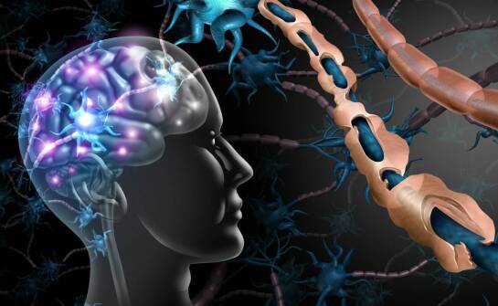 Choroba zwyrodnieniowa układu nerwowego – objawy, przyczyny i leczenie