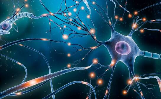 Choroby zwyrodnieniowe układu nerwowego – objawy, przyczyny i leczenie