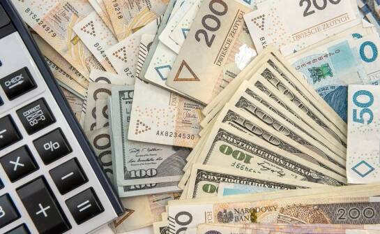 Jak działają kantory i co warto wiedzieć przed wymianą walut?