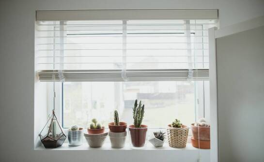 Stojaki do okien – jak wybrać rozwiązanie dopasowane do potrzeb