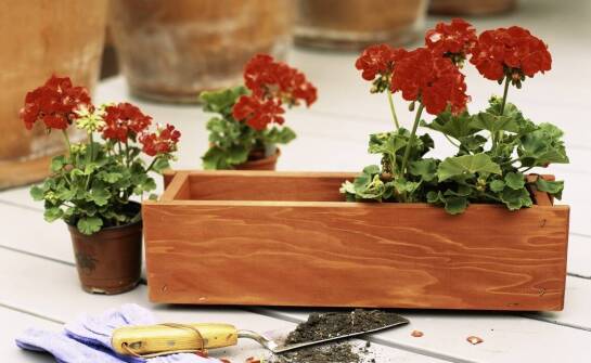 Donice prostokątne – inspiracje i praktyczne zastosowania w aranżacji przestrzeni