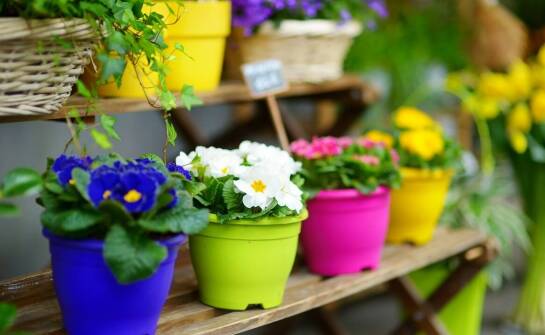 Jak wybrać kwadratowe donice? Przegląd materiałów i zastosowań