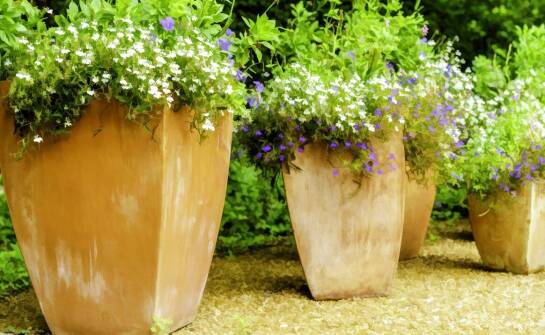 Donice owalne – jak wybrać idealny model do domu i ogrodu?