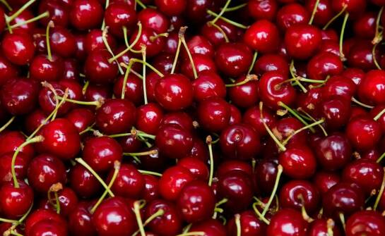 Czereśnia karłowa – uprawa, pielęgnacja i najważniejsze zalety tej odmiany