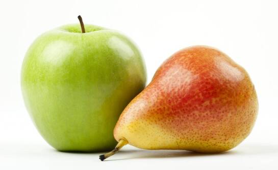 Grusza Konferencja – najważniejsze informacje o popularnej odmianie gruszy