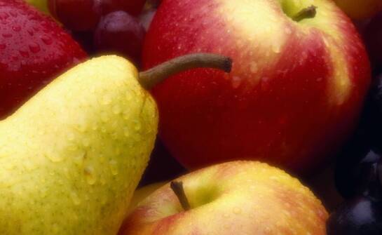 Jabłoń Reneta – historia, odmiany, zastosowanie i pielęgnacja w ogrodzie