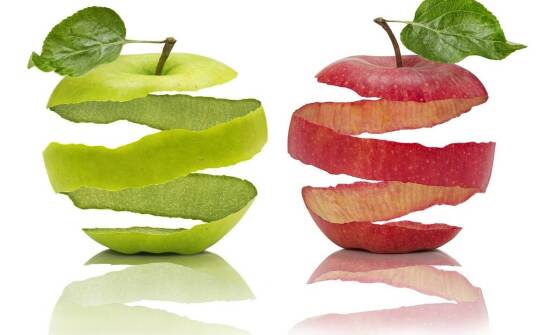 Jabłoń Reneta – pochodzenie, cechy i zastosowanie w codziennej kuchni